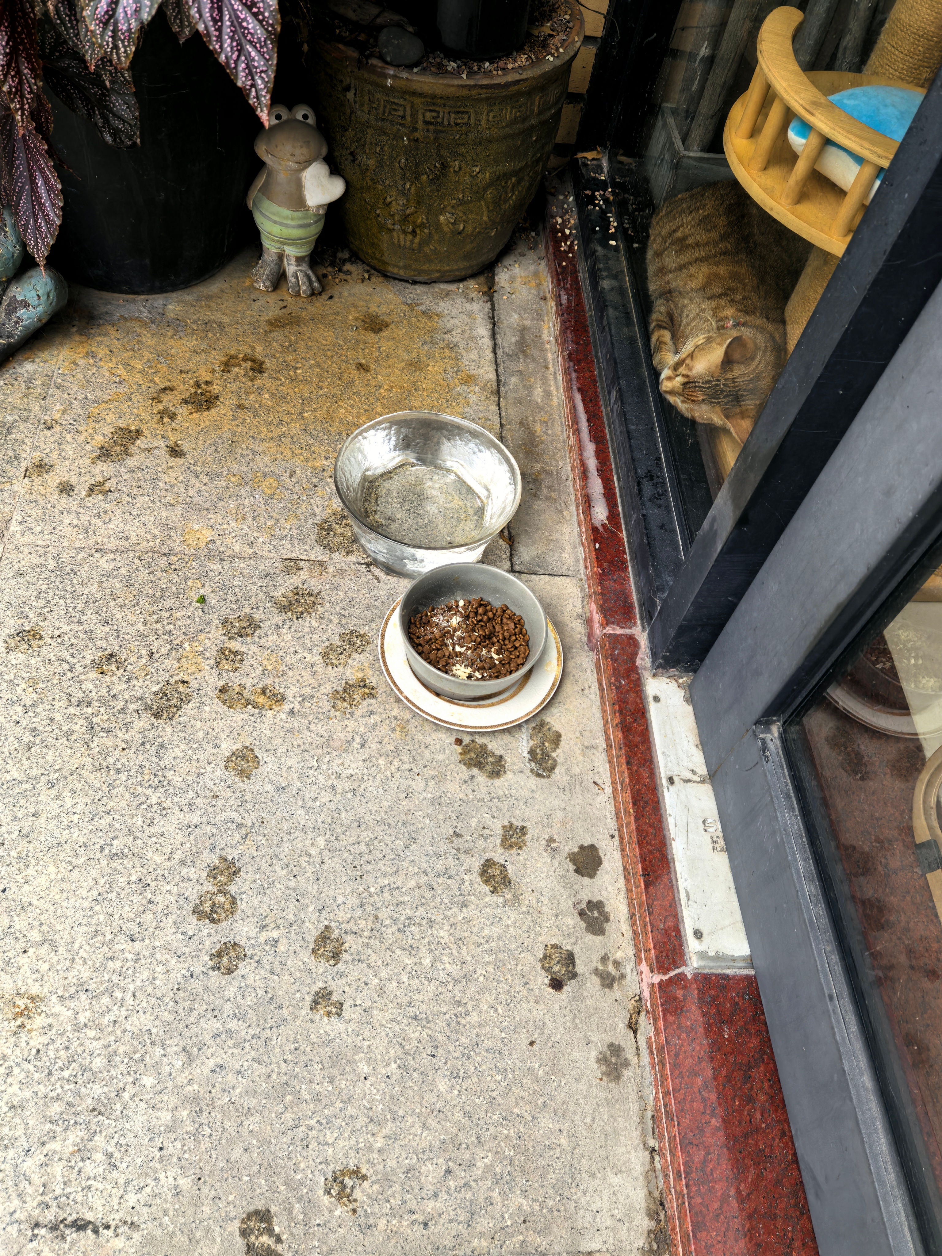 一看门口这小脚印就知道是大雨后小猫咪来过吃饭。。。猫咪流浪猫