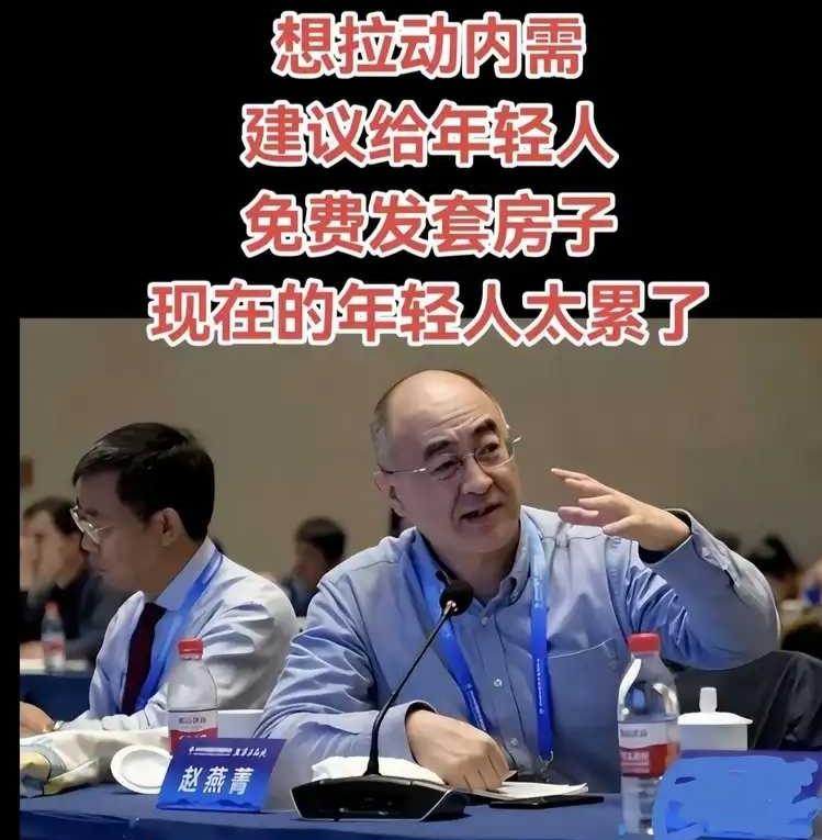 赵燕青教授说，想拉动内需，建议给年轻人免费发套房子。现在的年轻人太累了。
他说的