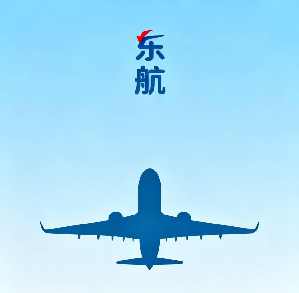 这次对万能的网友失望了——几天了，就是不知道这个渣“机闹”是何方妖孽，能逼得东航