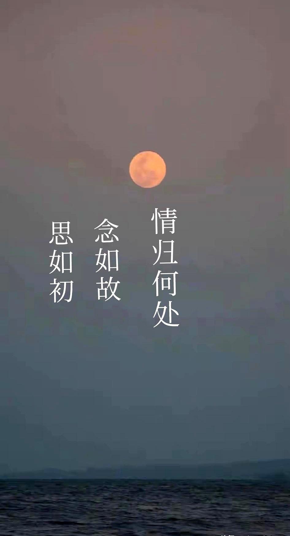 现在路过小区那棵老樱花树，还是会站定几秒。
三年前春天，穿白衬衫的他就靠在树下