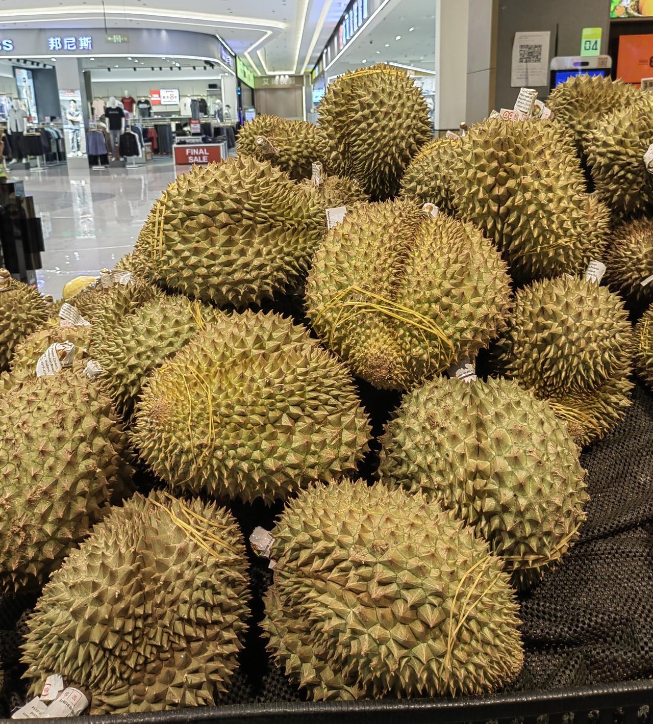 昨天和同事聊到结婚这个话题，到底怎么样的人生找怎么样的对象才算赌赢了呢？
聊聊我