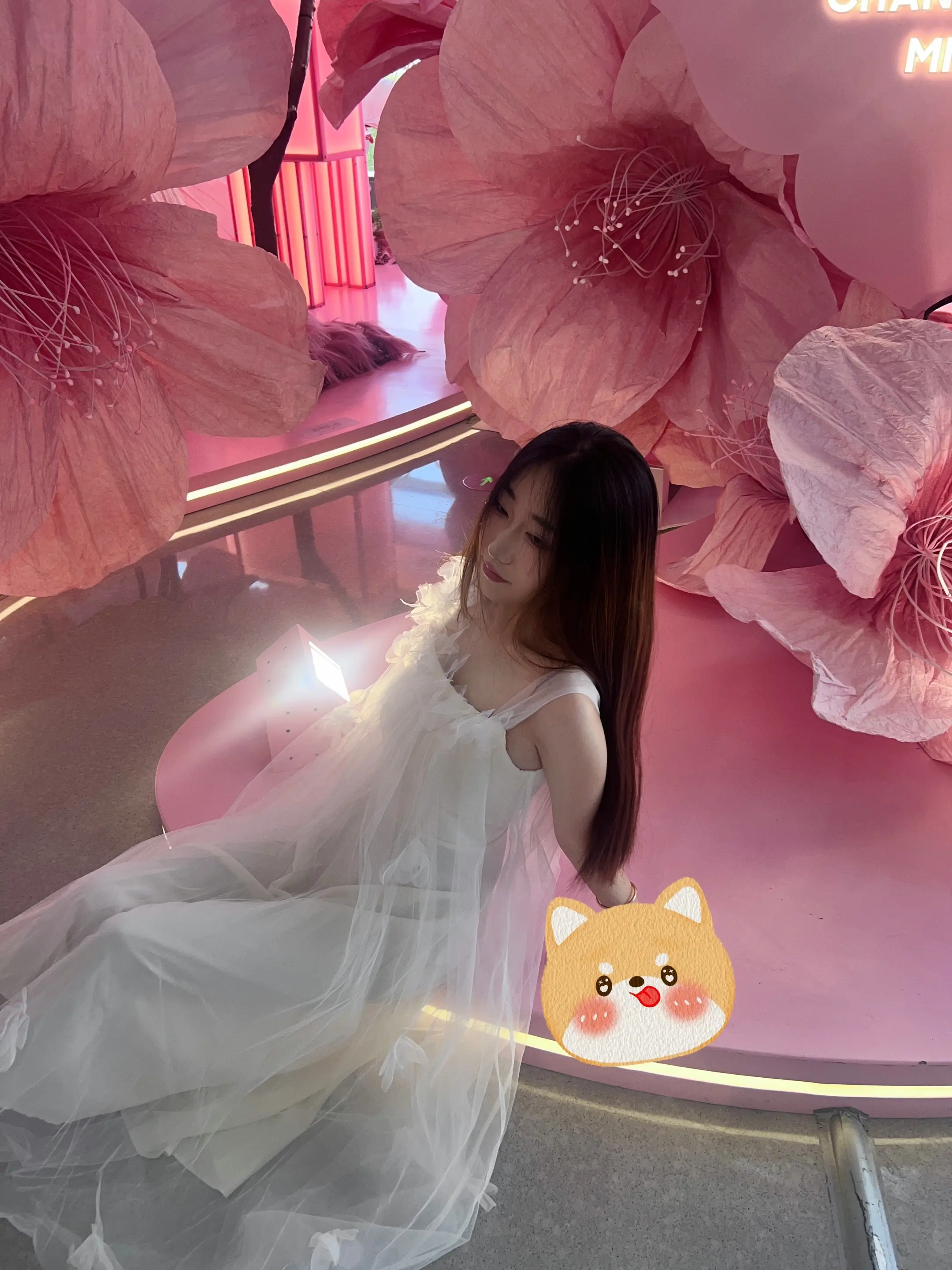 相濡以沫 不如相忘于江湖