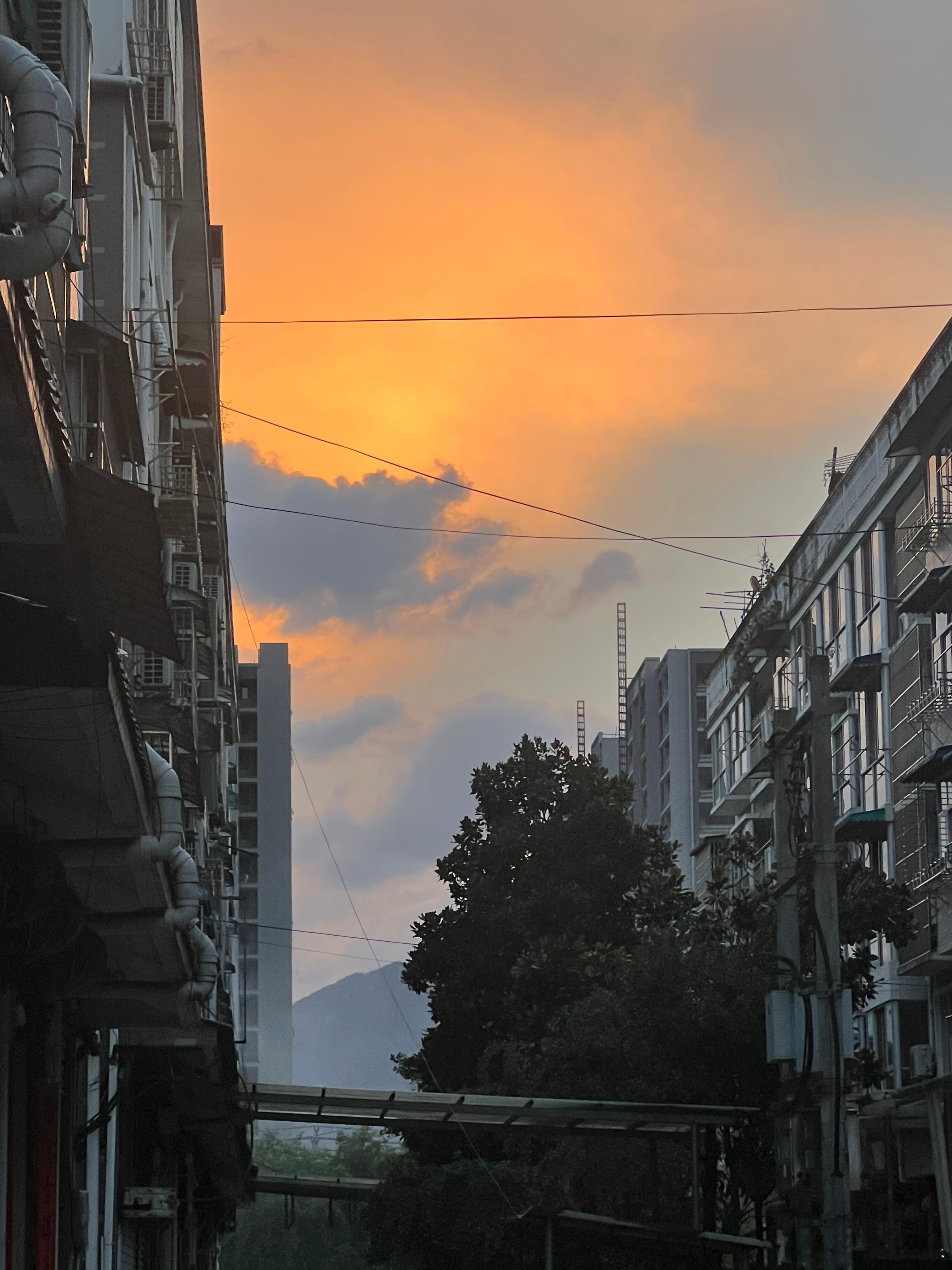 橘子味的好心情🍊夏日环游指南