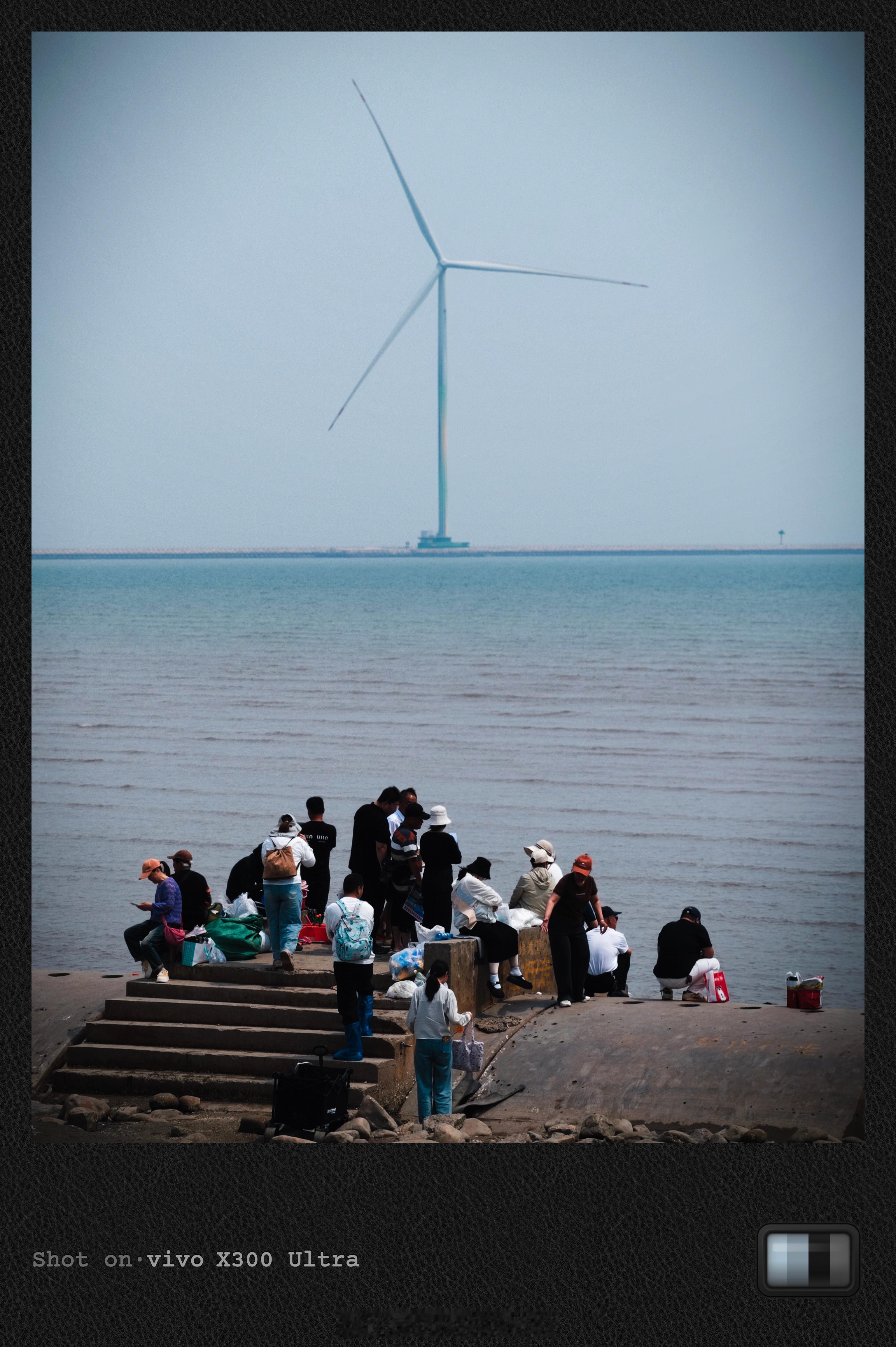 错峰赶海来了  天津·东疆亲海公园