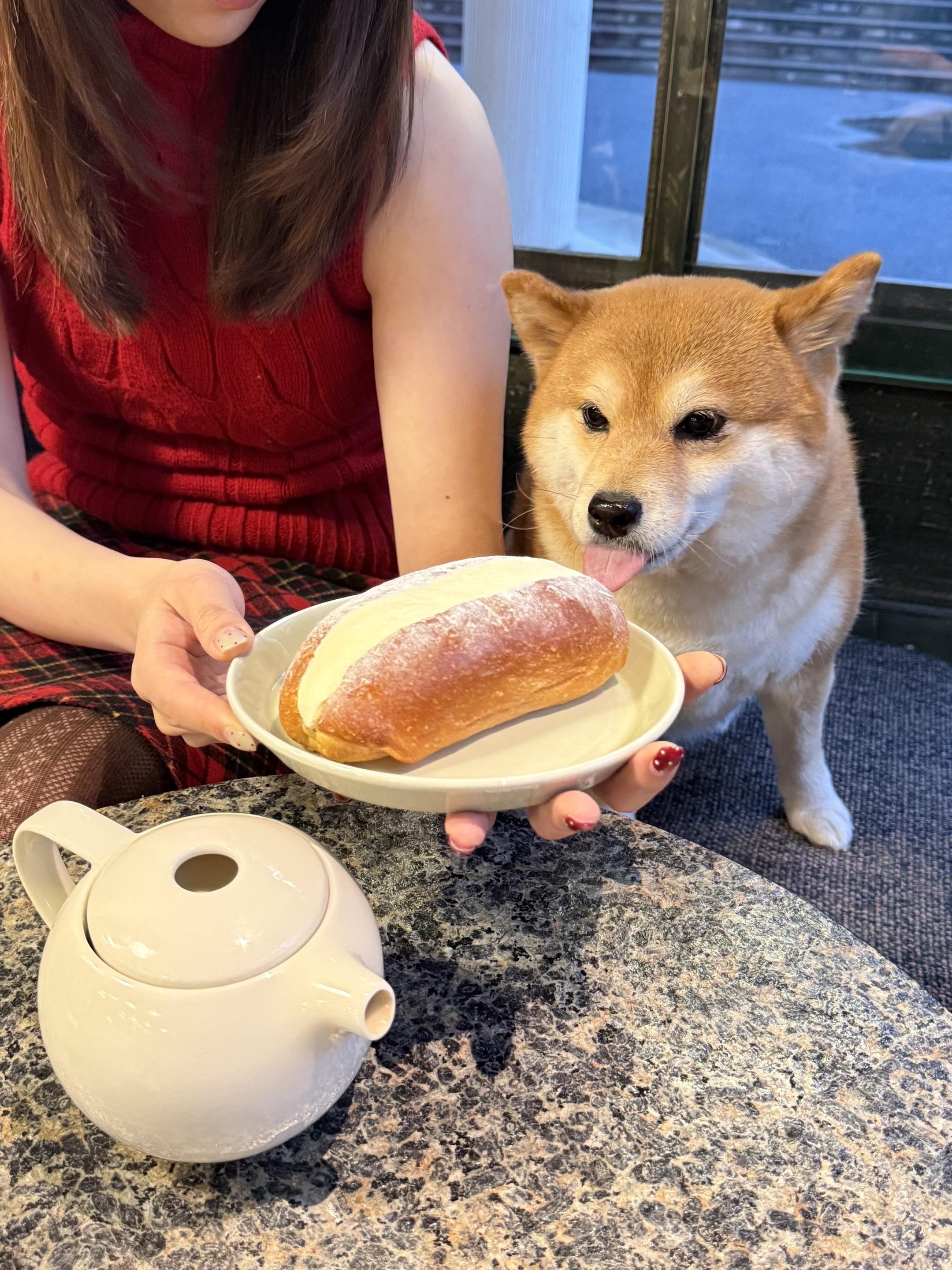 如果我 一颗心被你俘虏