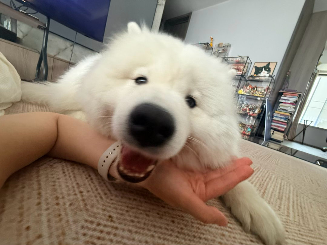 不摸我？！不可愣！！！！就让你摸就让你摸！！！！ ​​​