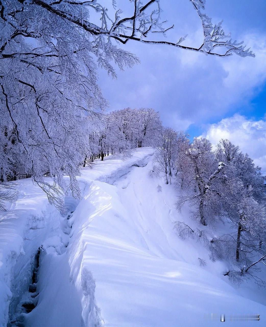 菩萨鬘 · 辛亥二月雪

作者：赵师侠

东皇不受人间俗。为嫌花柳纷红绿。特地閟