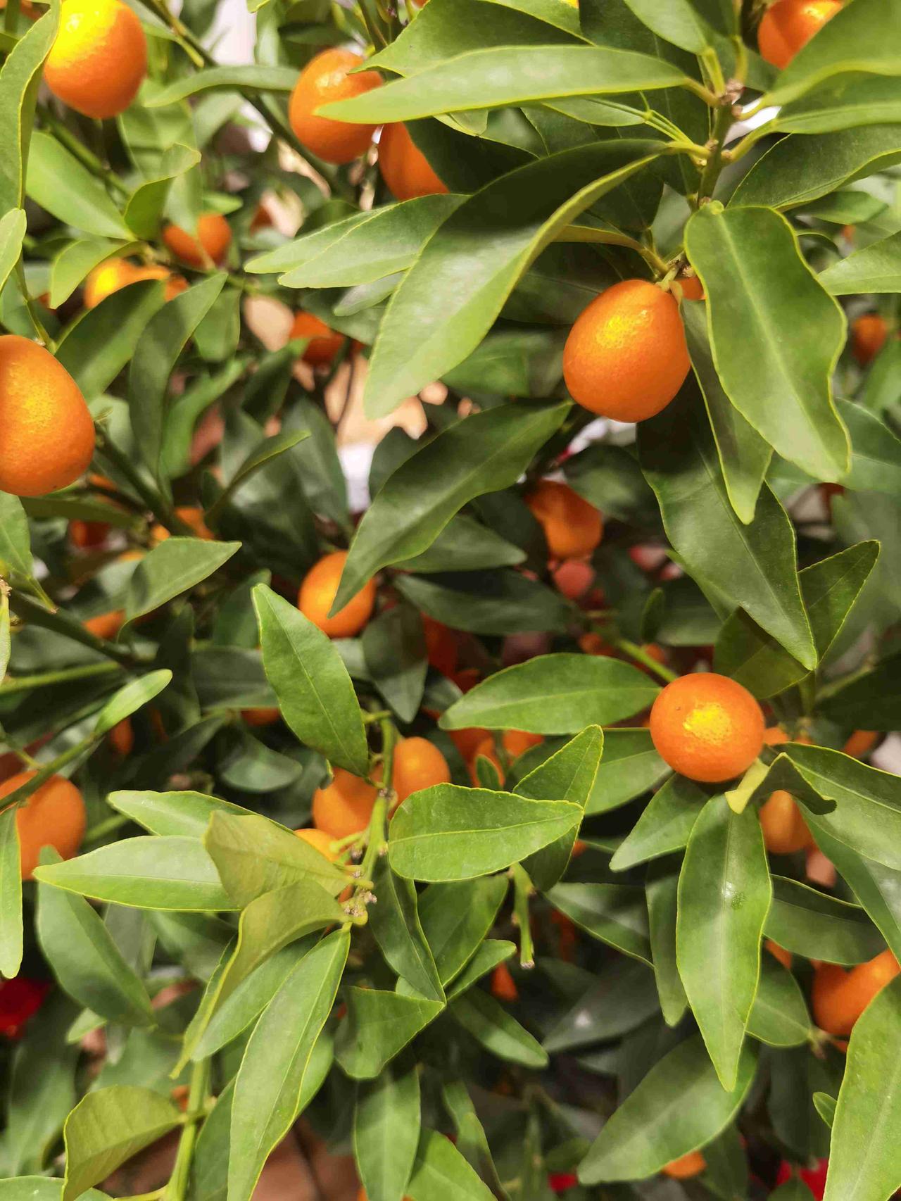 我的今日状态：💰期待暴富
我这里的天气：☀️晴天
 
人到中年，终于学会给人际