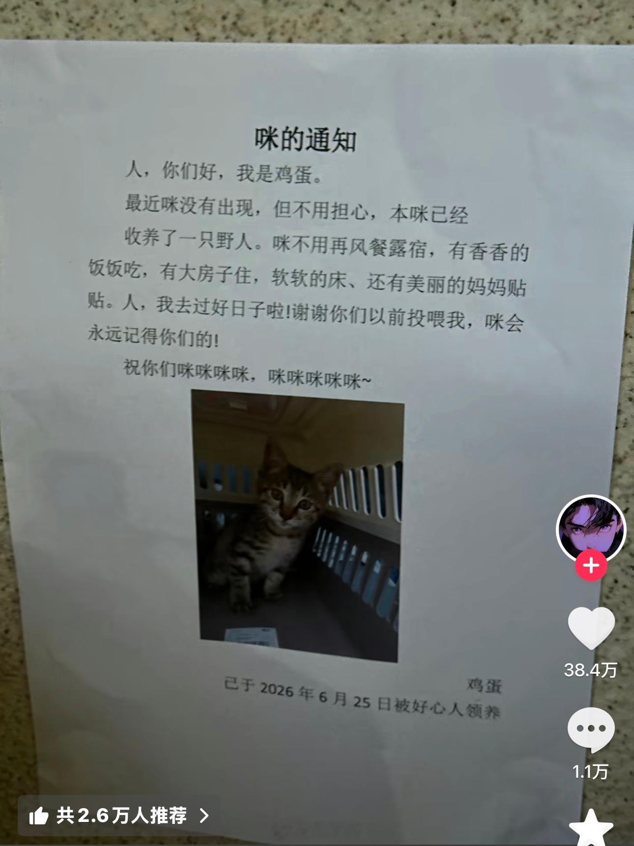 打开评论像打开了一本名为爱和善意的书 