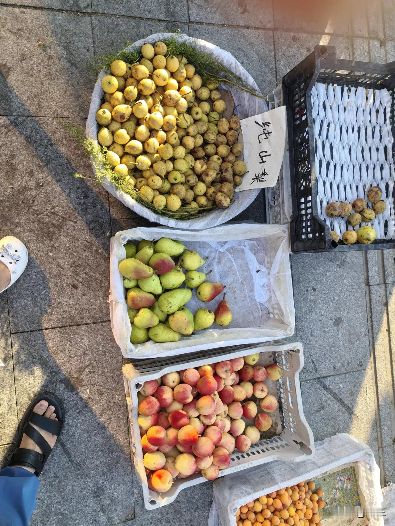 被低估的宝藏城市！
早晨在桓仁小县城赶个早市，物价真便宜！葡萄4元一斤，大饼子3