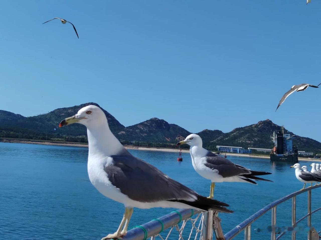 50岁痛彻心扉后摸索前行。妹妹来陪我20多天了也没出去看过风景，定好离开之日今天