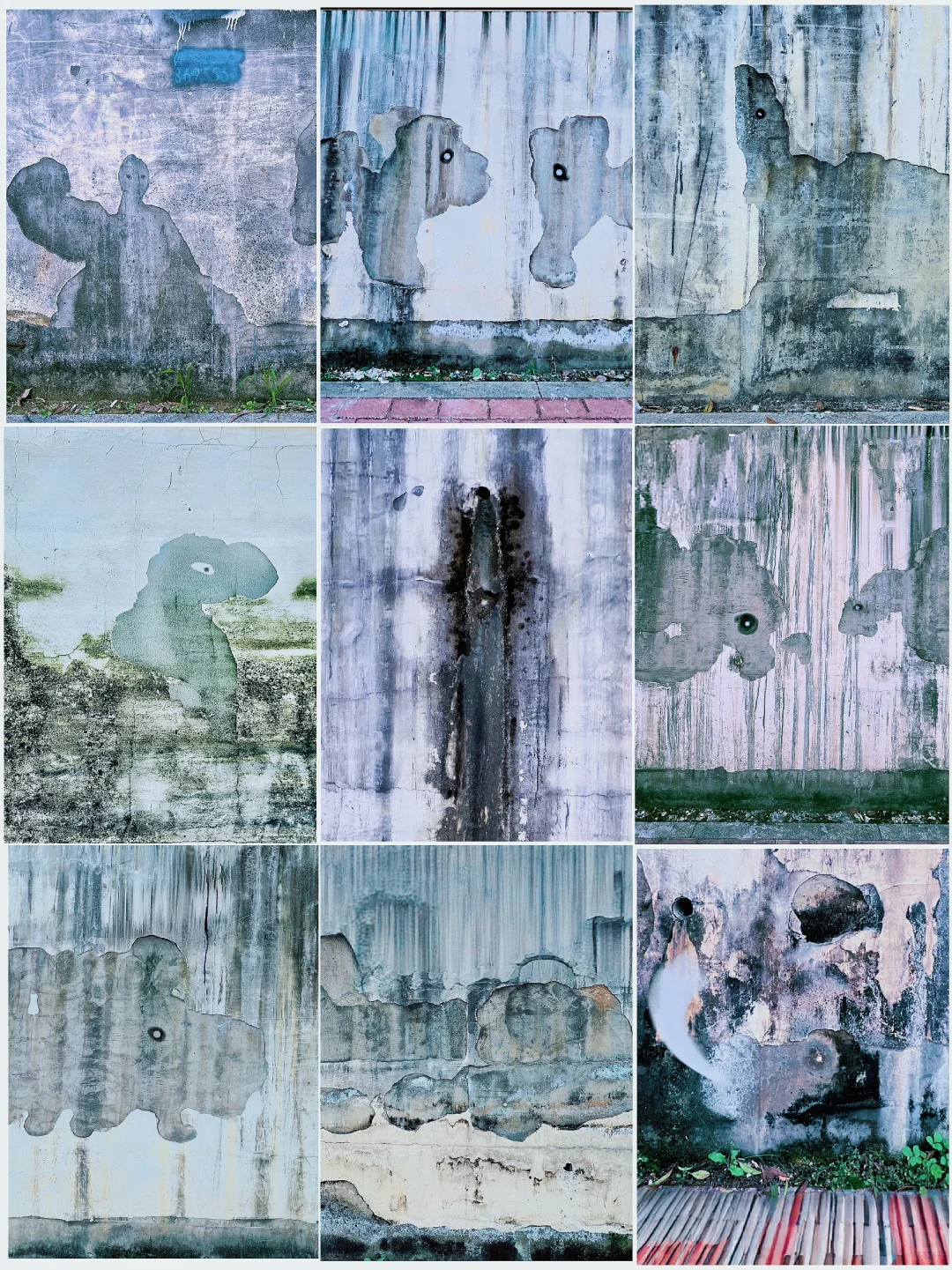 意趣摄影/精灵们