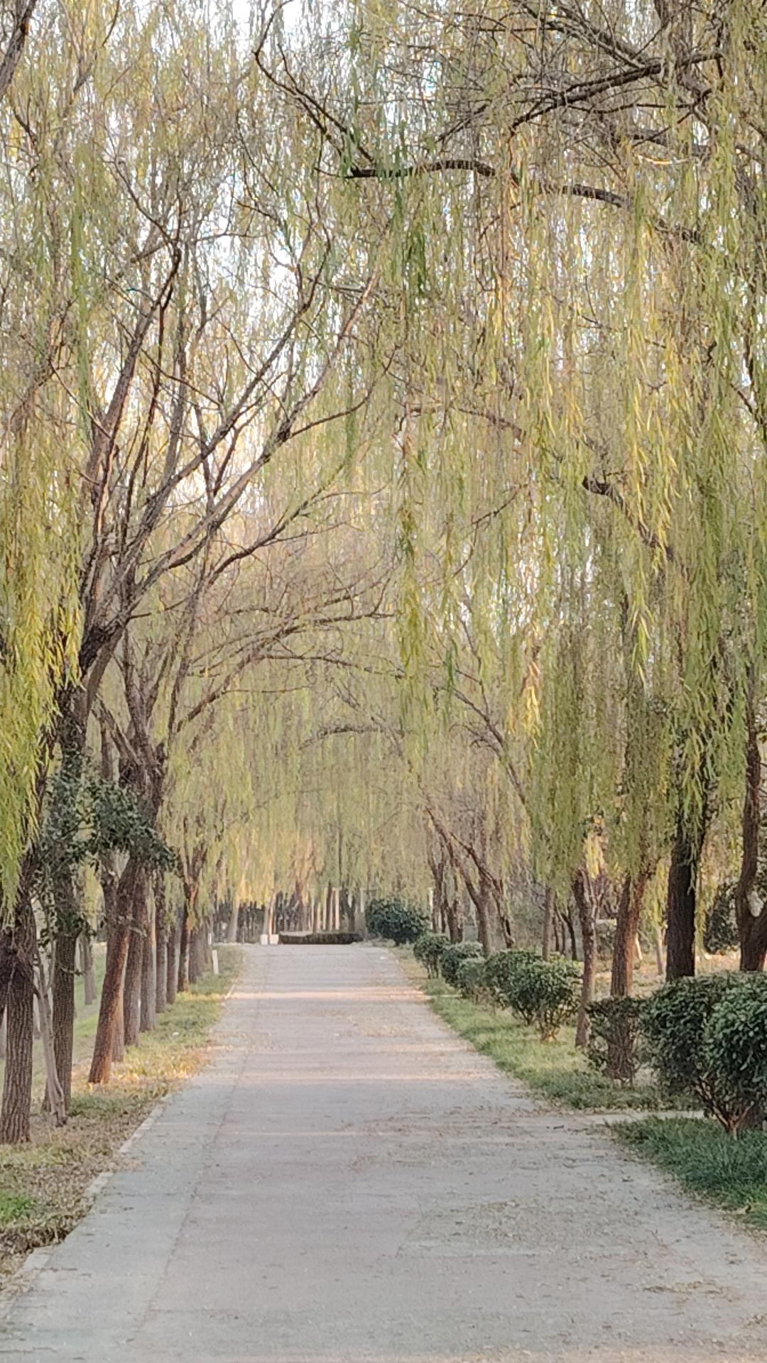 头条抛出一个问题，如果整容不花钱，你会整吗？

我会毫不犹豫地回答：不整，想都不