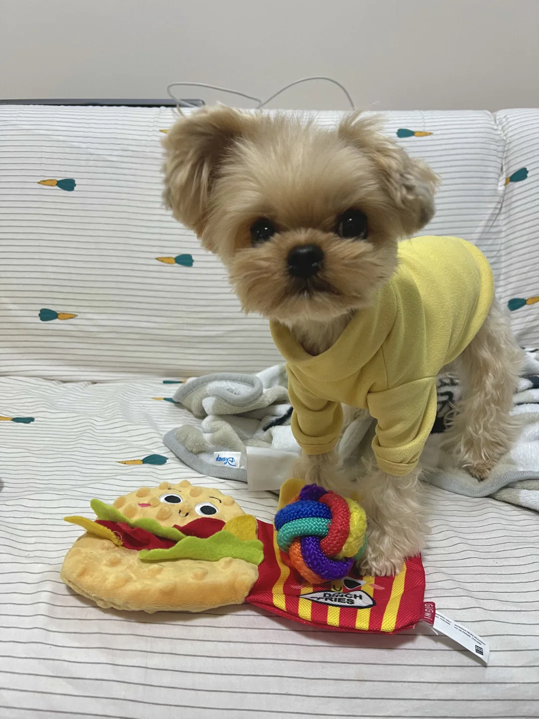 愿意和我一起吃汉堡吗拜托了🥺