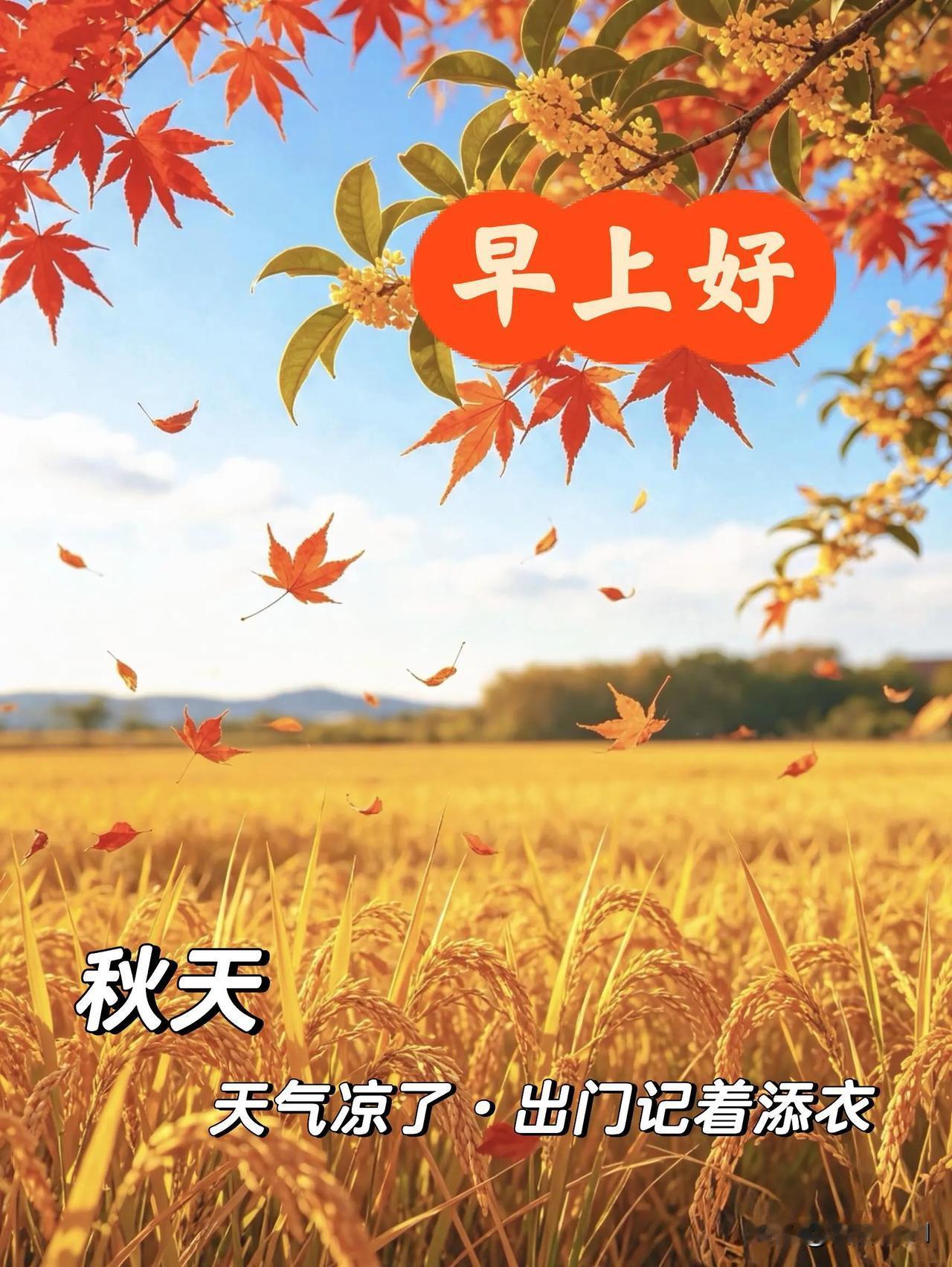 一季秋风，一份惦念，愿冷暖自知，健康常伴，早上好。