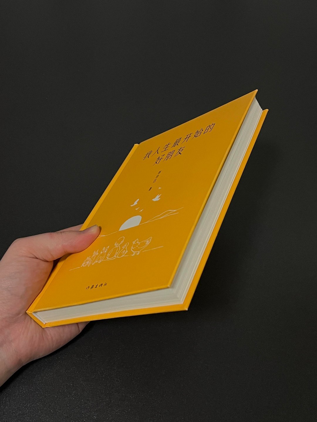 这本书不仅让我们沉浸在美好的回忆中，更引发了我们对于成长与友谊关系的深入思考。随