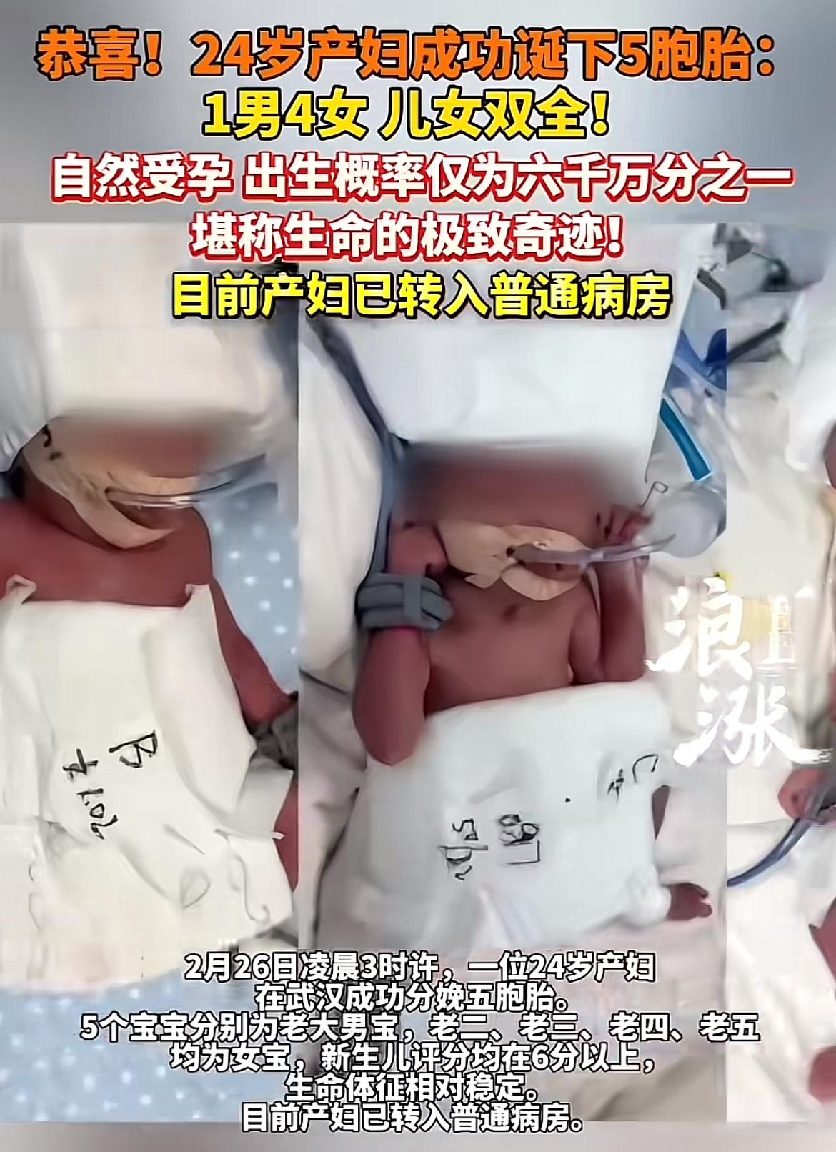 24岁新疆产妇在武汉成功生下五胞胎，这简直是生命奇迹！全球自然受孕五胞胎出生概率