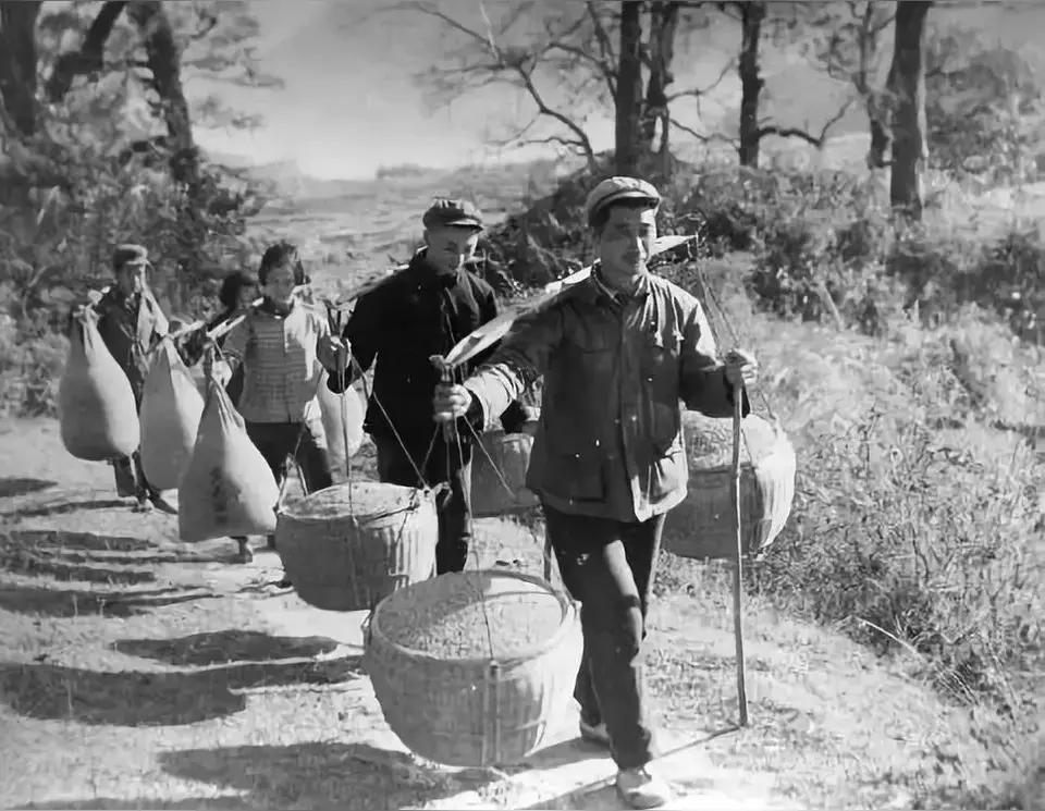 回忆过去那战天斗地时光，那份热情
虽然那时清苦，却能宽厚待人，没有虚伪
每当回忆