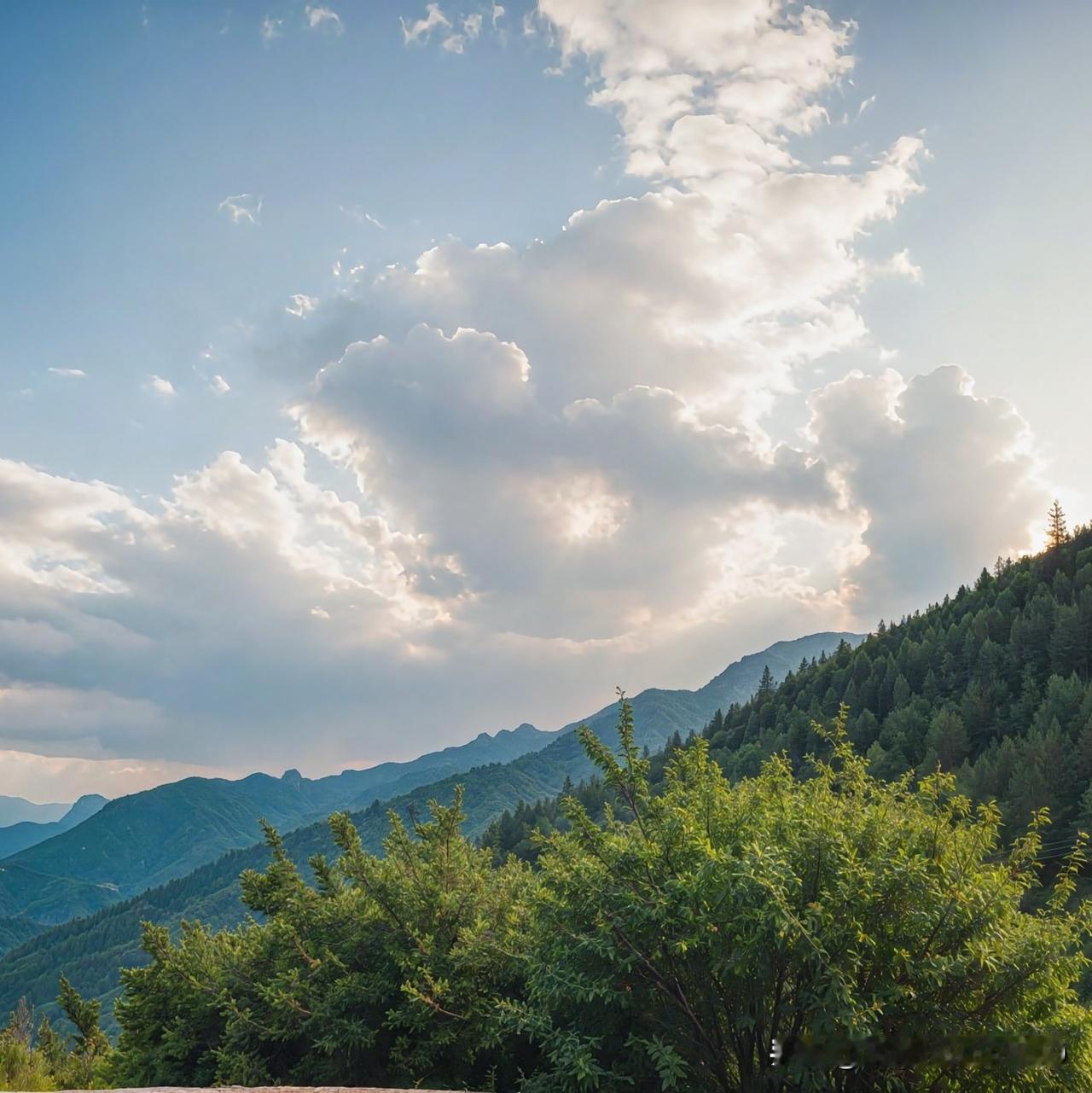 上周临时起意扎进南山风景区，刚拐过盘山道的弯，整个人直接被眼前的景色钉在原地。