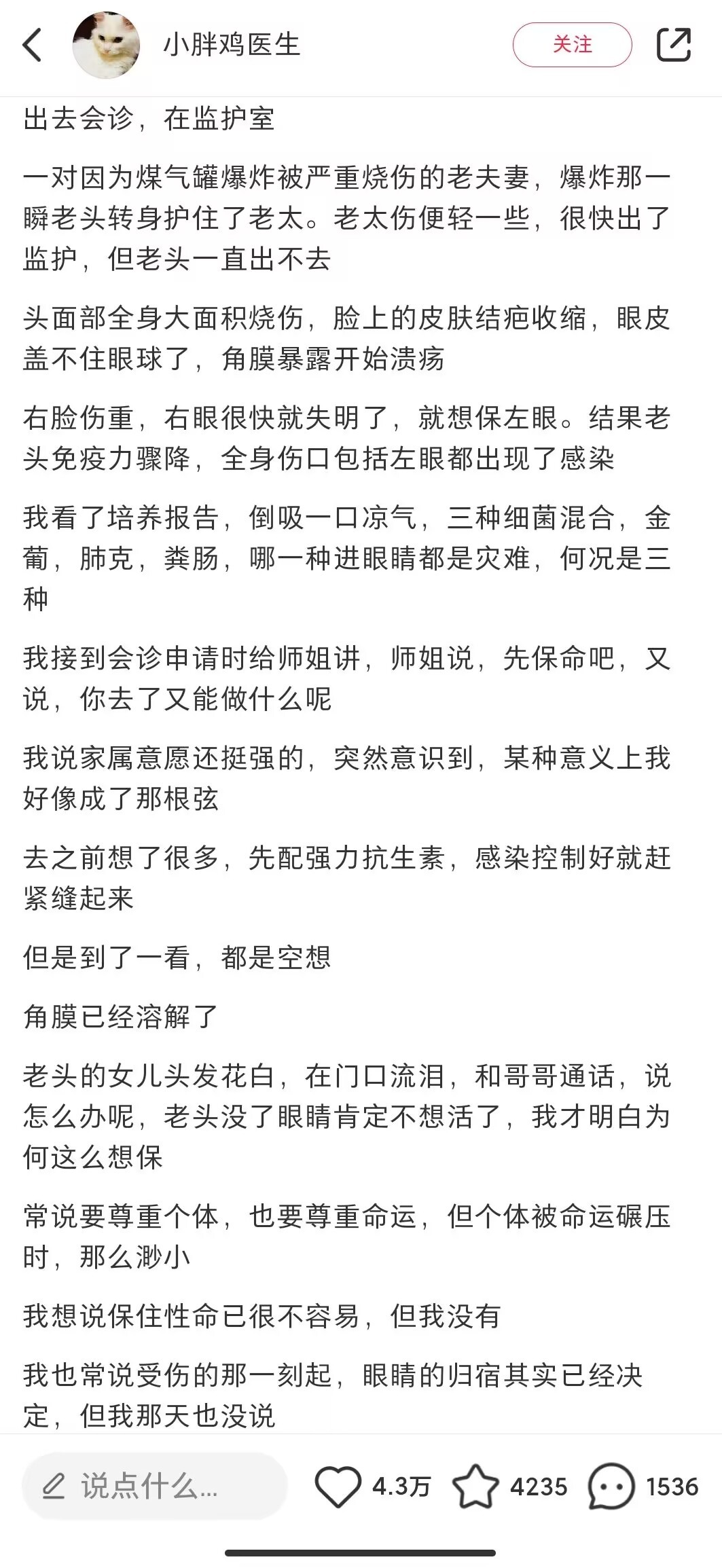 命运已经很残酷了，言语就温和一点吧 