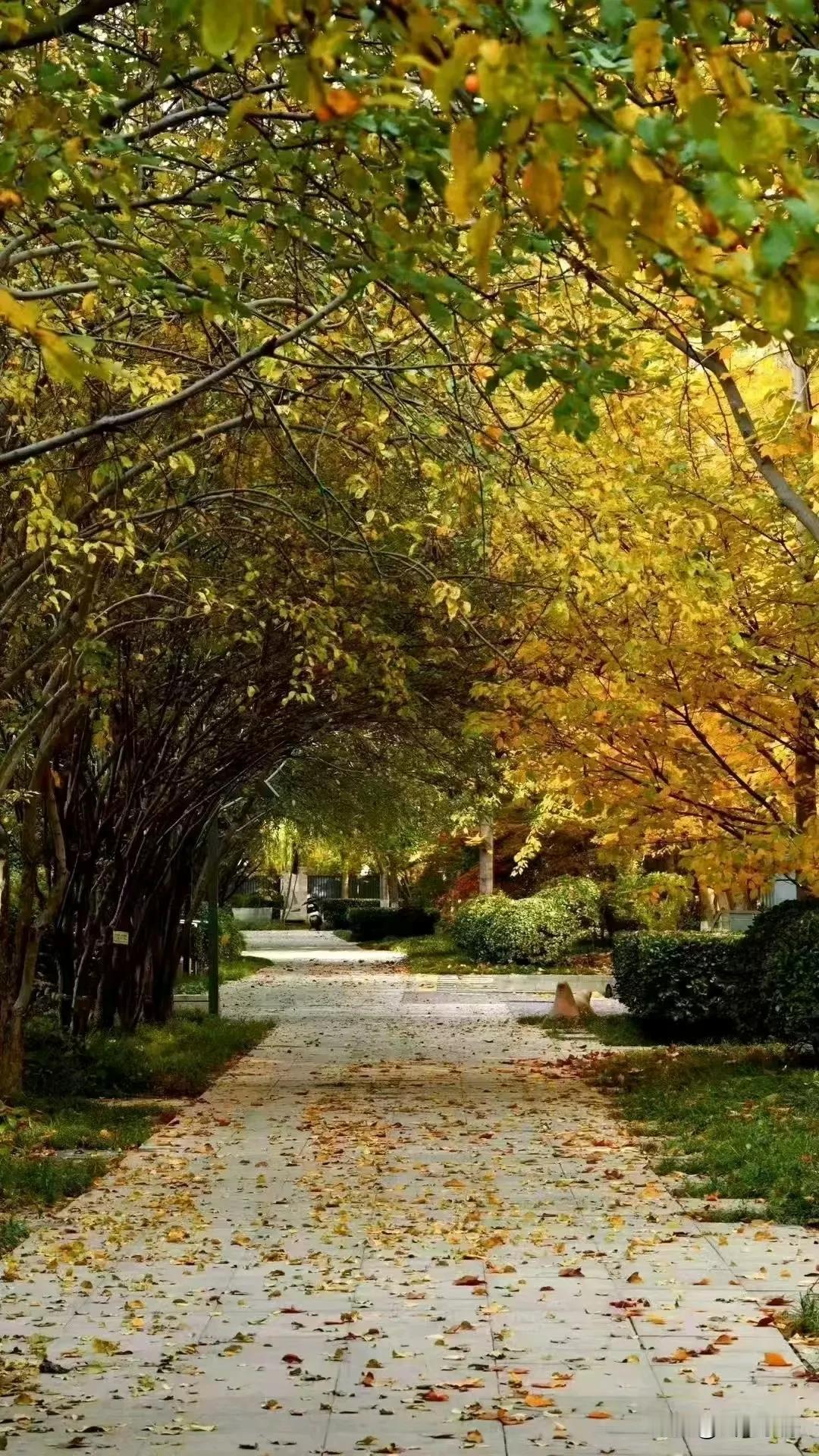 莫让生活太拥挤，宽松豁达爱自己。人生不过几十载，善待、善行、善珍惜！
     