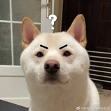 暖浣吹生活服务