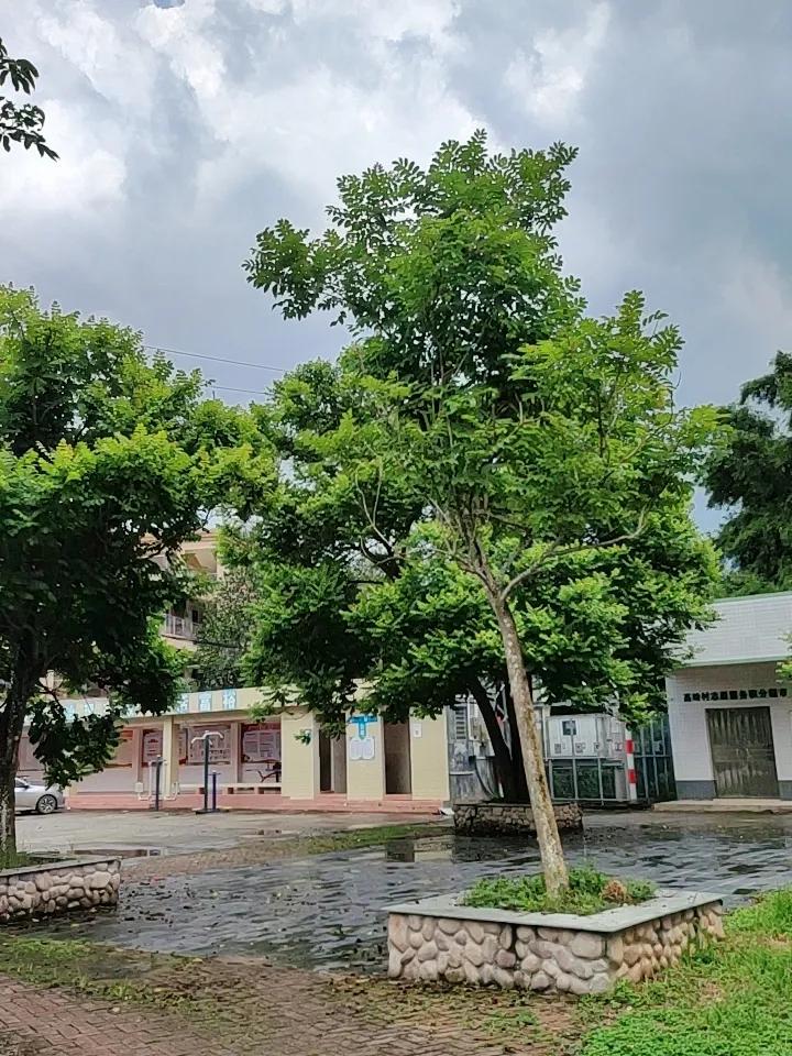 给大家分享我手机里的一张AI美图当壁纸，那画面美轮美奂。这张壁纸细节复杂，色彩鲜