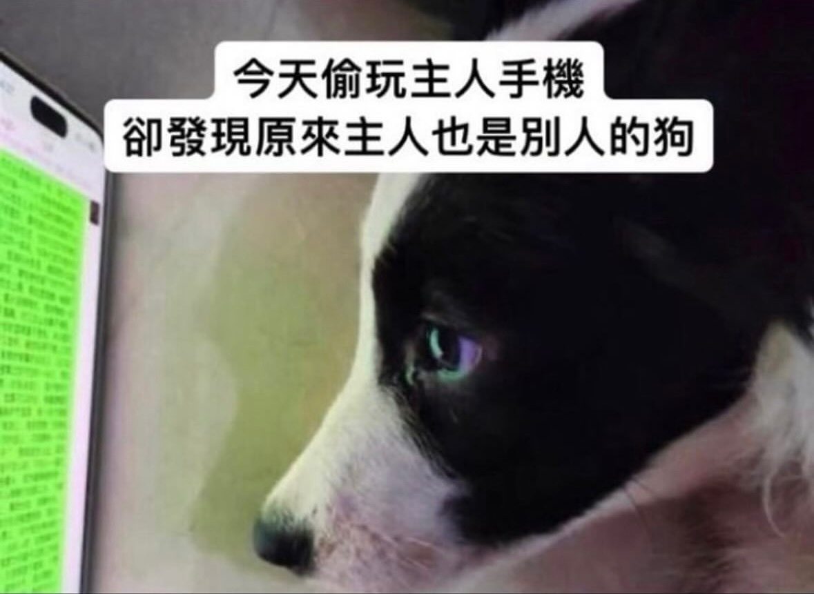 咱俩谁跟谁#meme# ​​​