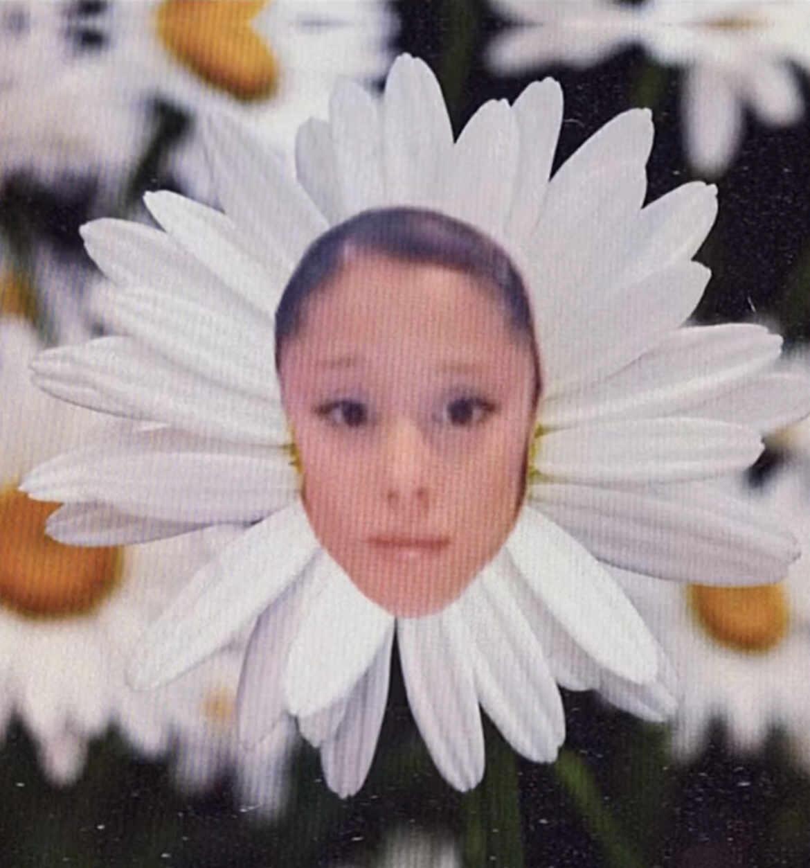 细思鼻孔，A妹从来没有否认过自己是朵花
A妹 欧美圈 艺术审美 petal