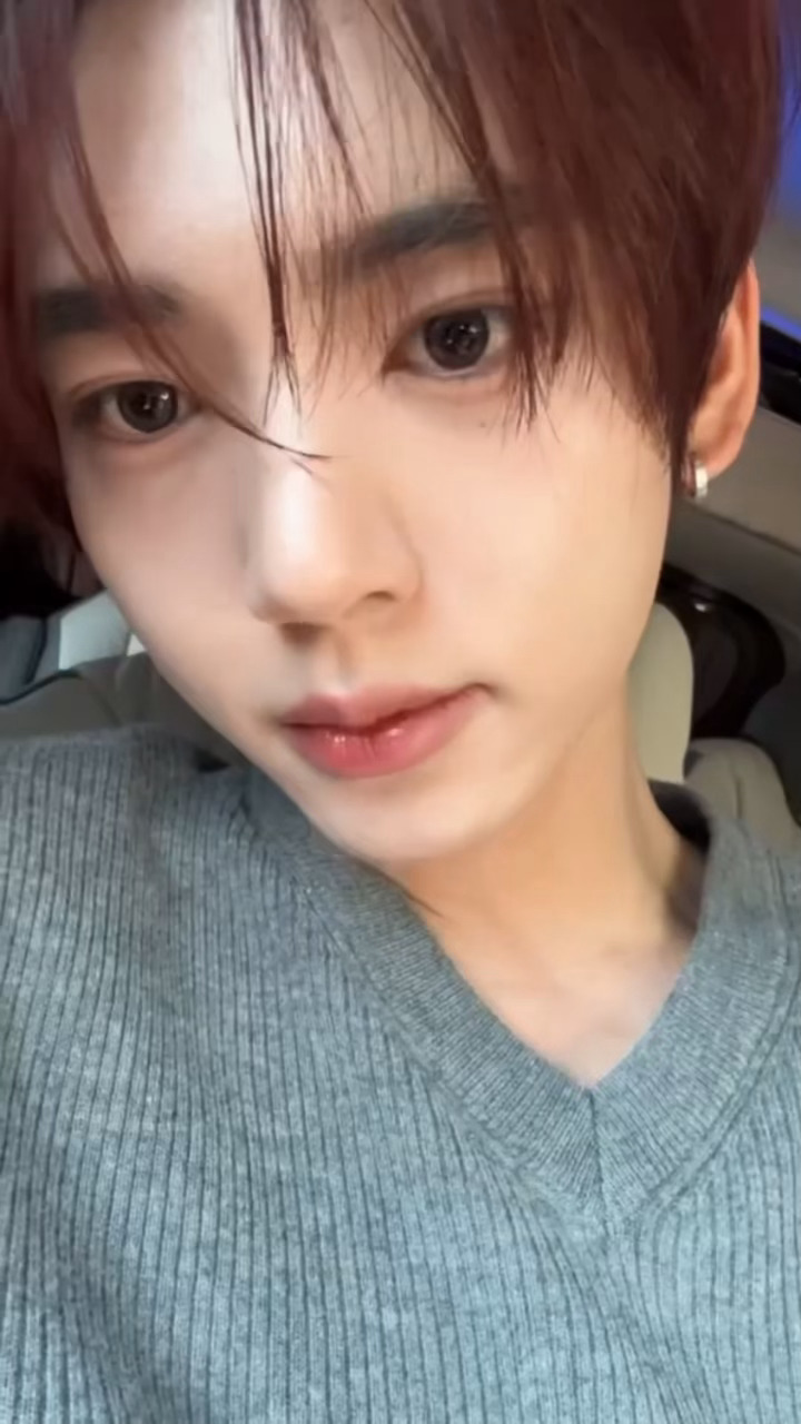 宝比送来礼物><