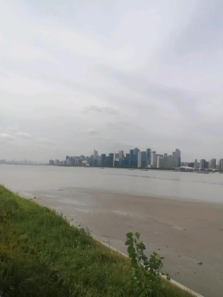 优美的江边风景秋日的江水