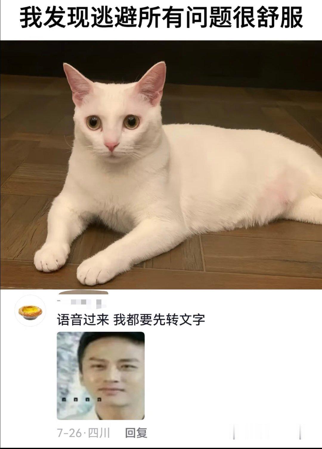 我发现逃避所有问题会很舒服泰国机场称拒载是粉丝尾随艺人引发