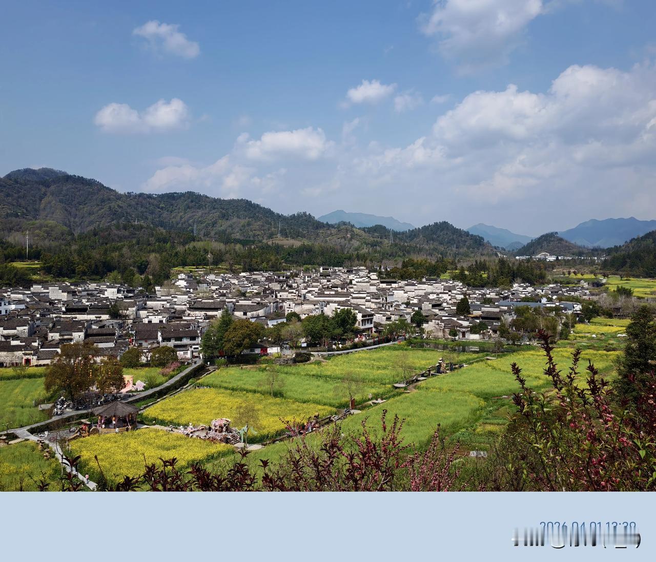 人这一辈子，最难得的不是一路狂奔，而是懂得如何安放自己。
我们总被推着往前走，要