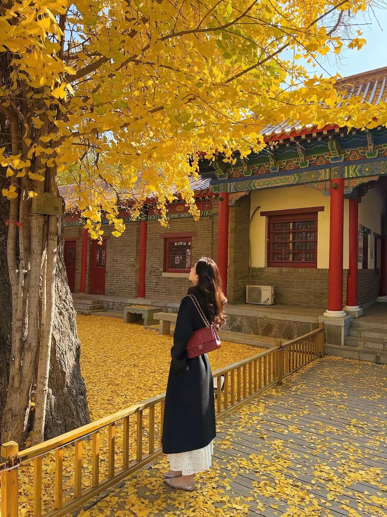 人有两条路要走，一条是必走之路，一条是想走之路，你必须把必走的路走稳，才可以走想