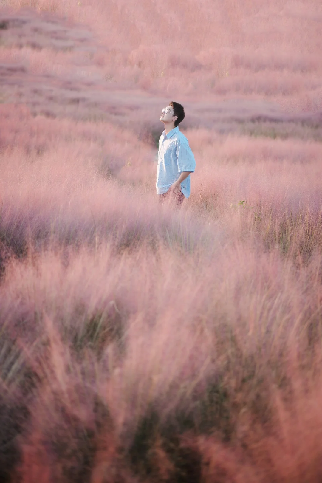 上海周边拍粉黛📷我只推荐这！