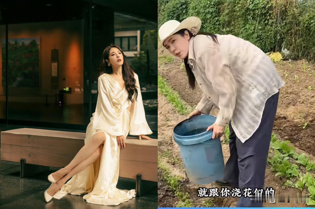 终于知道曾黎为什么不结婚了，
不是她眼光高，
也不是她对感情失望了，而是她发现种