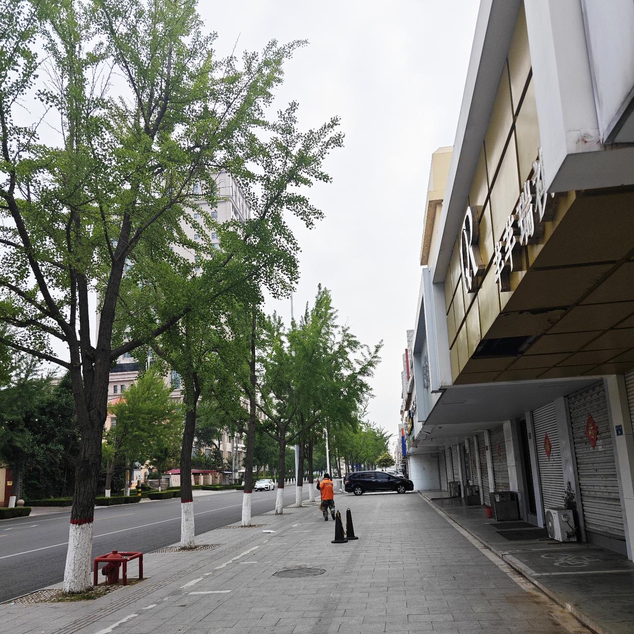（3）
自入夏以来，今天第一次一大早5点半就走出了小区大门。
出门后，街道上空无
