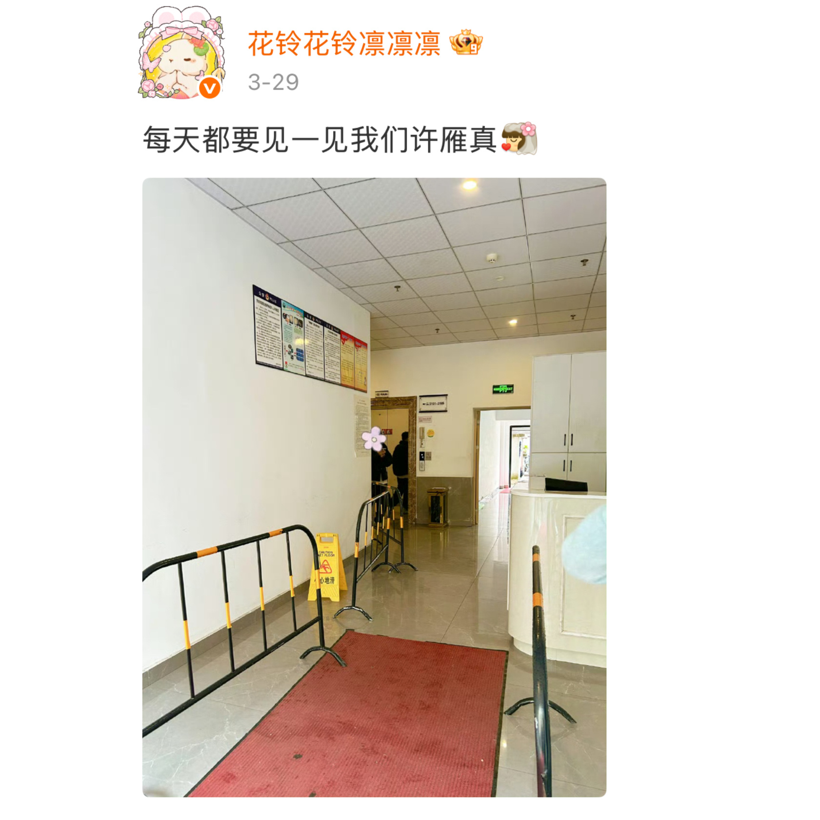 除了开机那两天 剩下的十几天我都全程跟了现场 许雁真完全就是我看着养大的宝宝