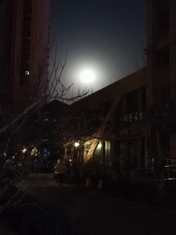 2026年1月29日，演员金晨被曝涉嫌交通肇事逃逸，还让助理徐某某顶包。事故发生