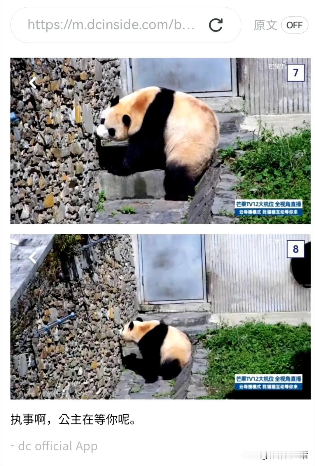 这个必须发，因为这件事的本身非常好玩，照片大概是韩国那边发出来的，在问徐奶爸在哪