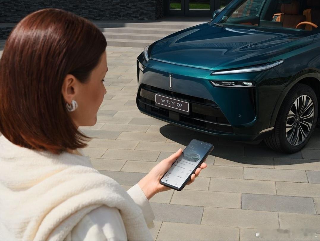 魏牌蓝山（GWM WEY 07）东欧版，综合续航1100+，动力电池42.5kW