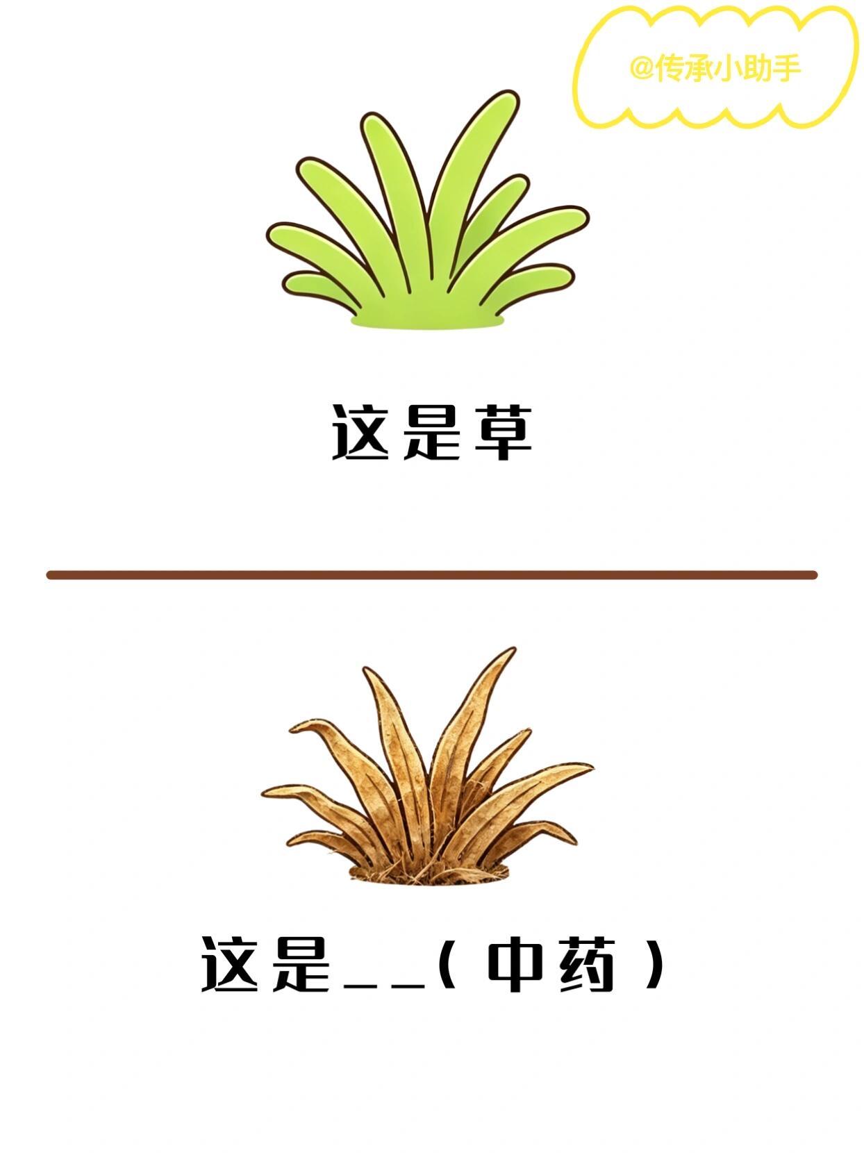 野生中药谜（直觉版）谐音梗来啦 
就这点，别跟我讲你懵了（｀Δ´）！ 答案会在