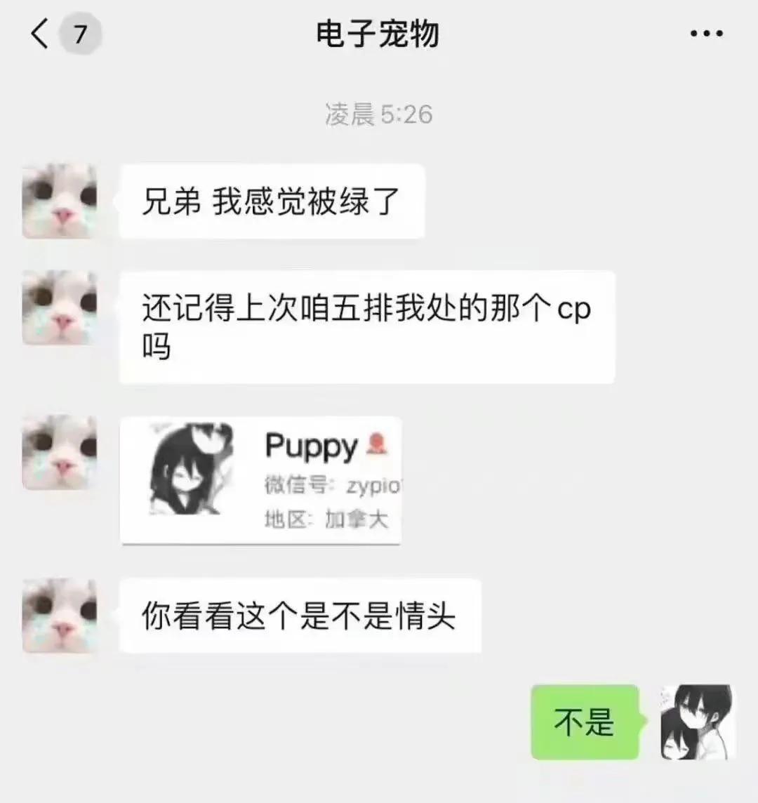 这明显被绿了