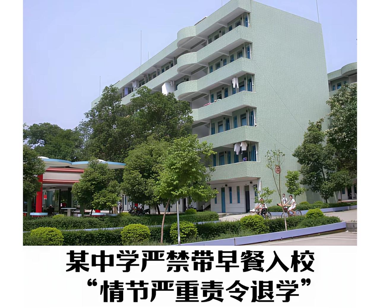 【湛江中学带早餐入校或退学引争议！周兆成：惩戒需守住法律边界】

大家好，我是北