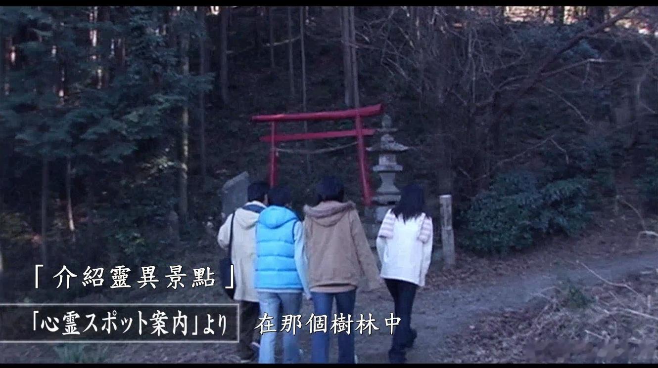 BD1080P蓝光中字版 ！灵异咒 ノロイ (2005)简介：某日，东京一处房屋