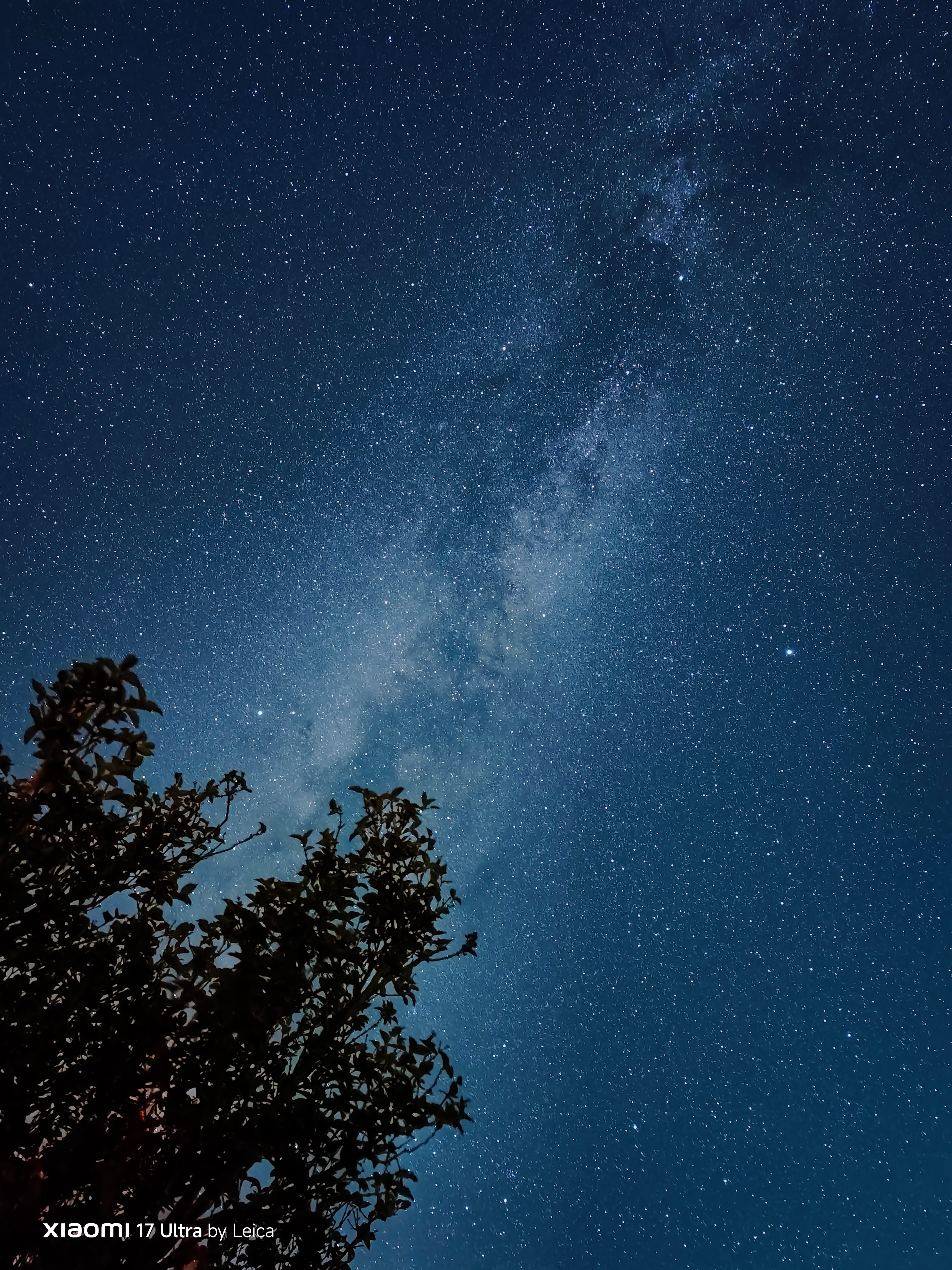 流星，你看到了几颗