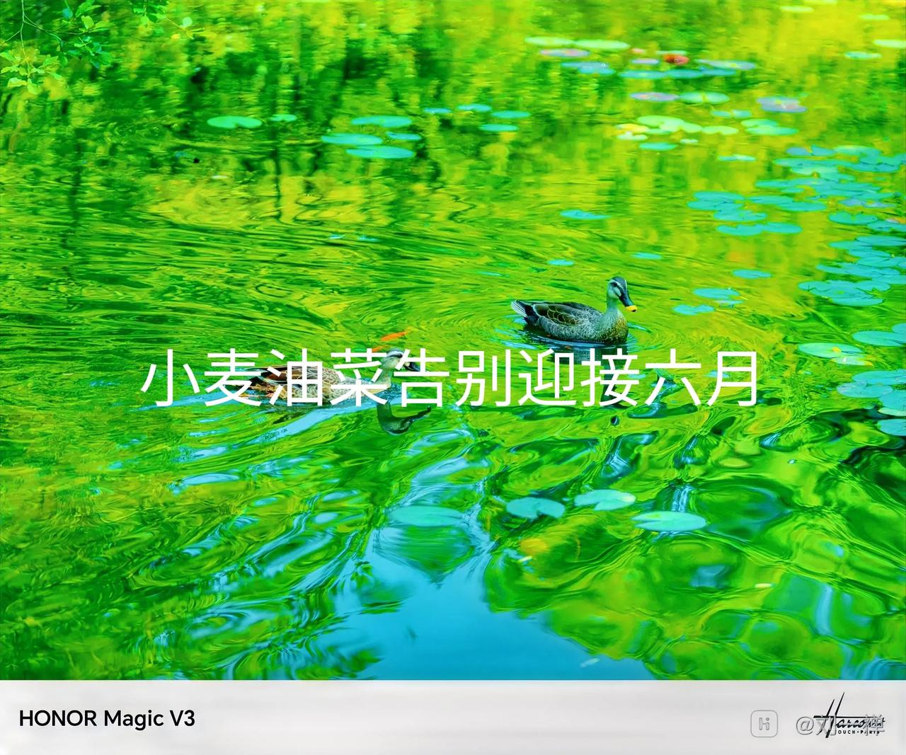 一张图告别五月