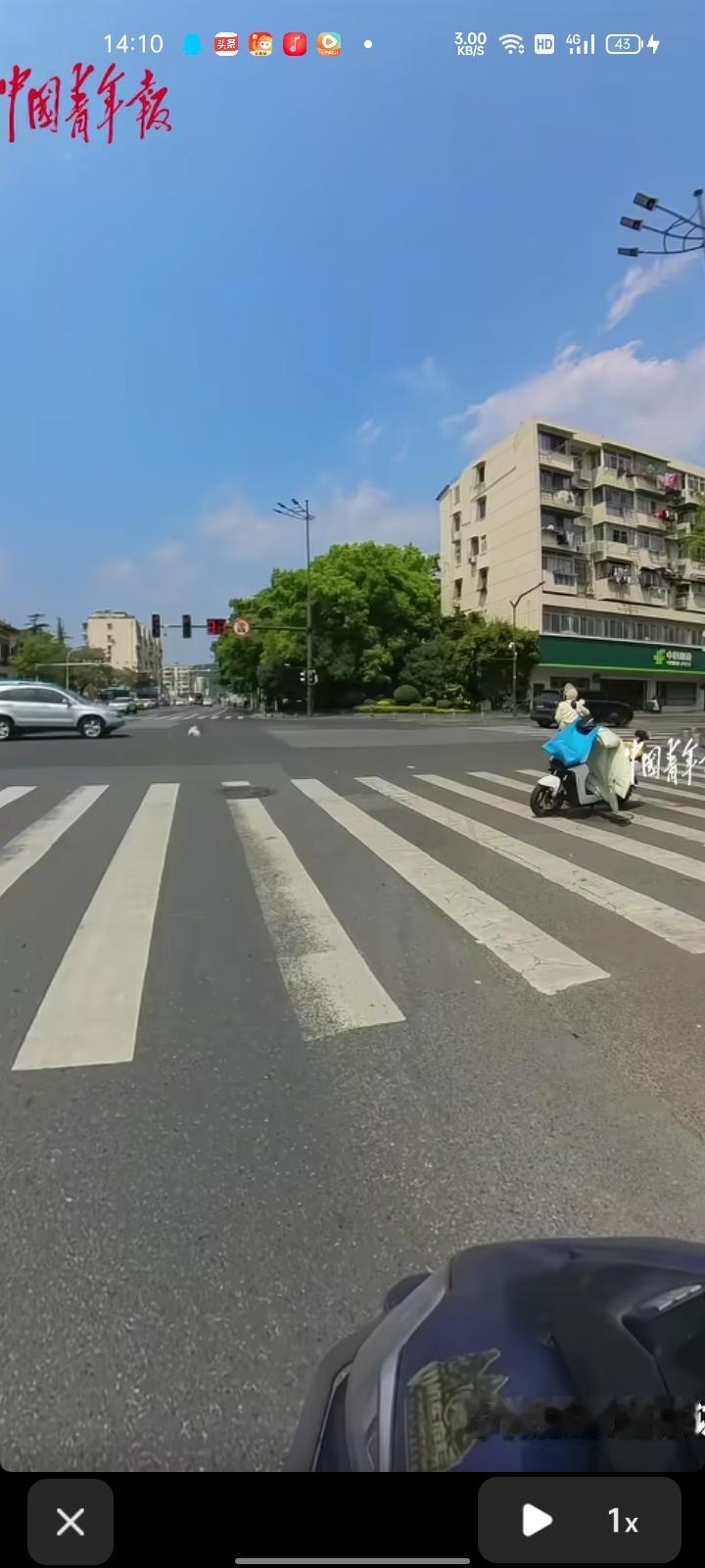 5月2日，江苏南京。网友晒视频称，女子带着狗骑车行至路口时，未栓绳的狗跳下车，跑
