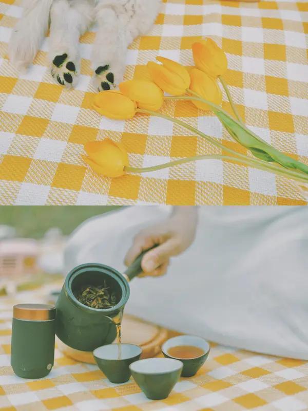 春日生活打卡季恩施绿茶香气飘飘，回甘醇甜