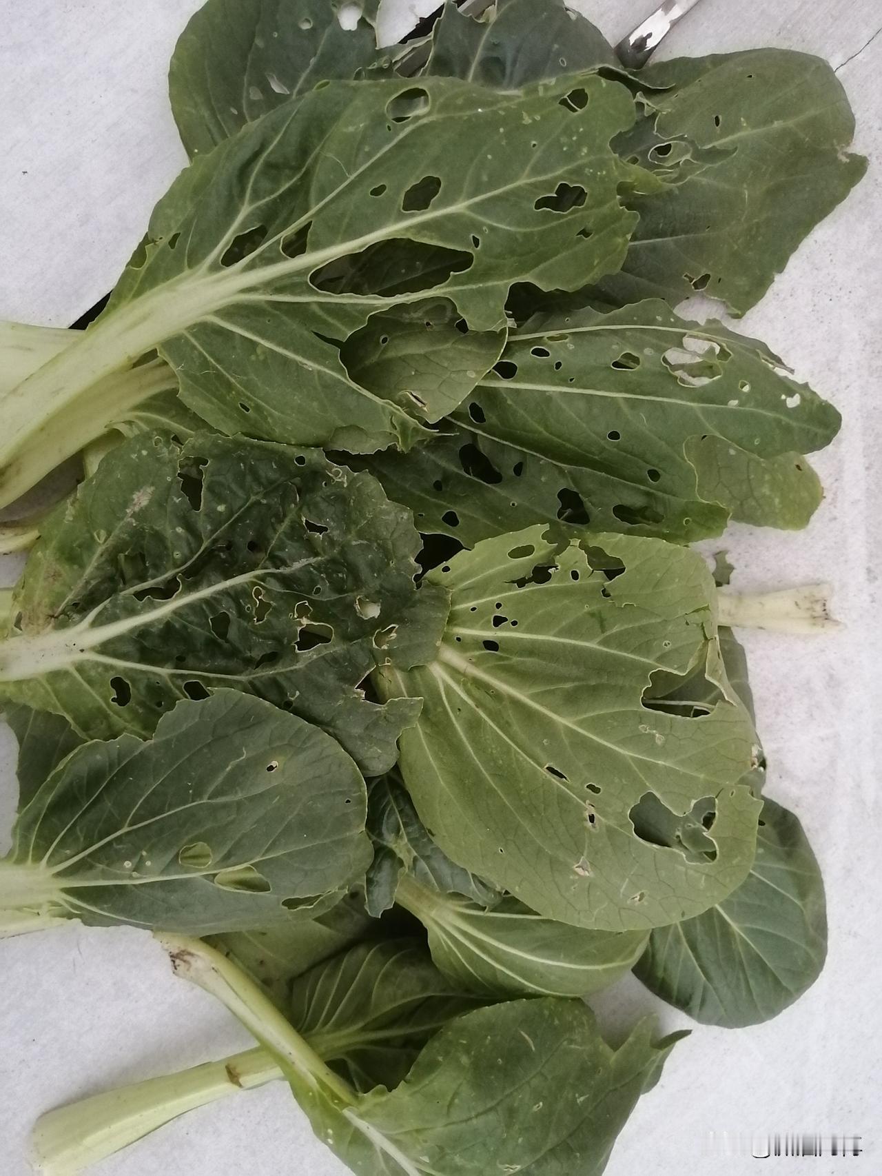 不要上当受骗！网上卖课真的丑样百出。有一个网上针对老年人的课程，本来大家好好学习